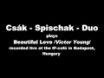 Csák - Spischak - Duo plays Beautiful Love /Victor Young/