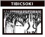 Tibicsoki