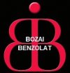 Bozai Benzolat-Emlékezés