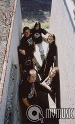 White Section