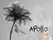 Apollo_pulse wall
