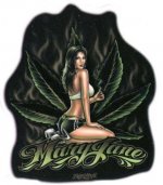 Miez Gomez latinzenekar